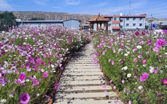 国产精品人人做人人爽人人添